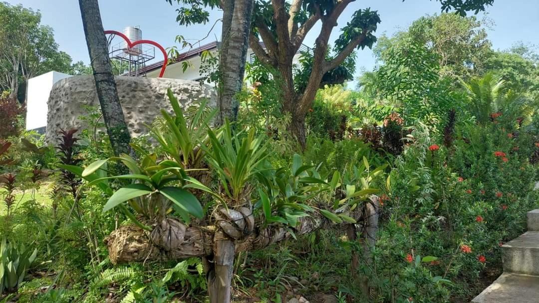 Cleopatra Villa Zamboanguita  Exterior foto